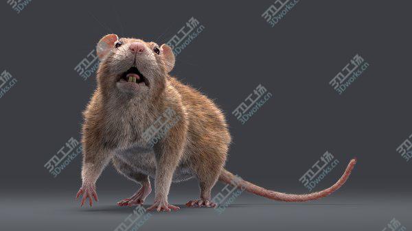 images/goods_img/20210312/Rats Collection 3D model/2.jpg